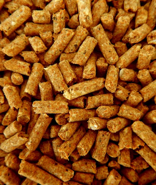 Animal Feed